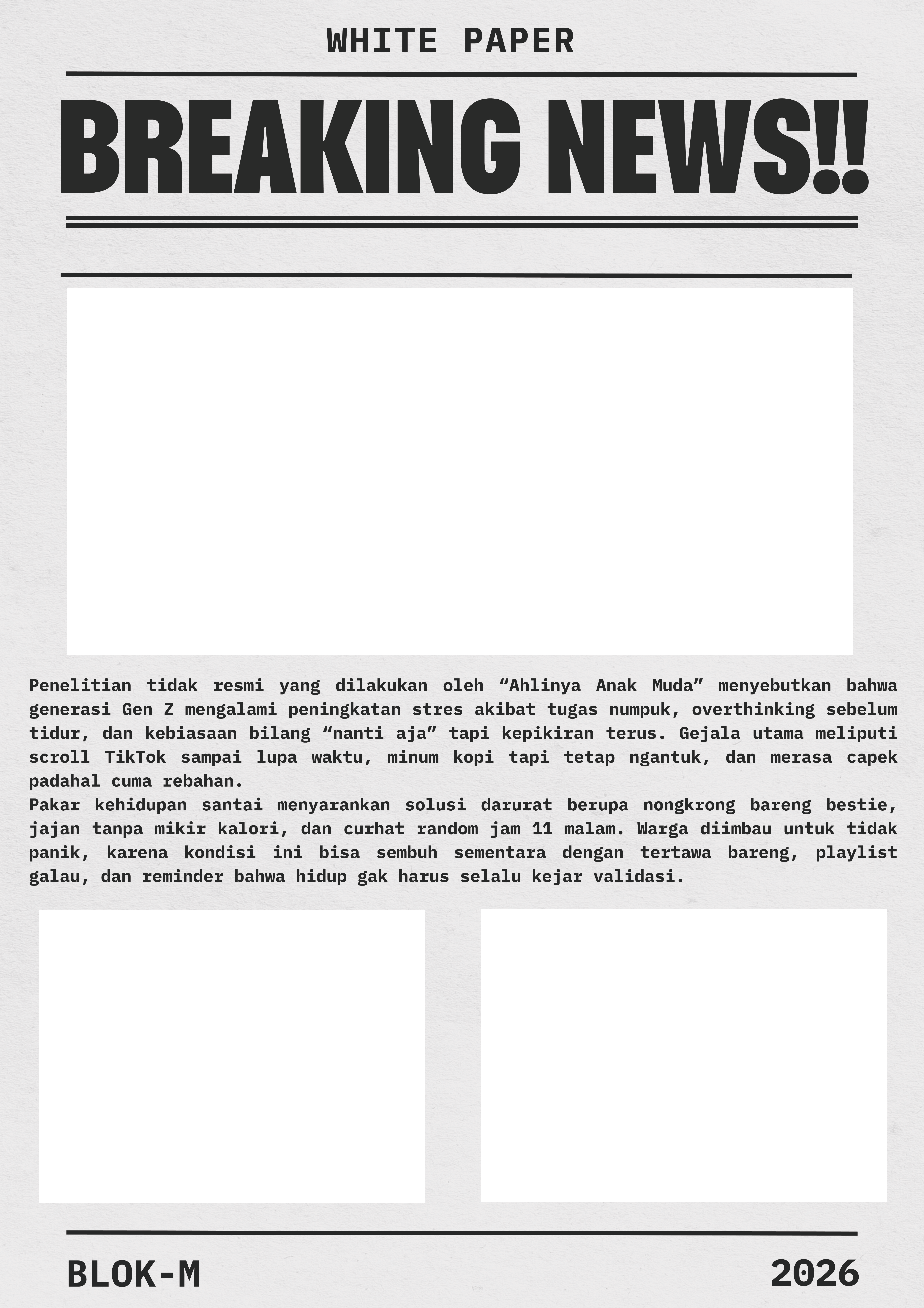 Newspaper